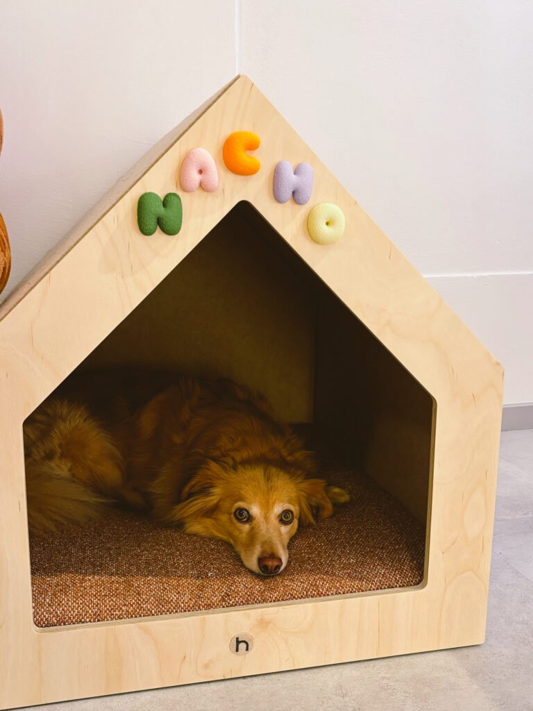 Kleine Bubble Letters für Hundehütte oder Hundeplatz